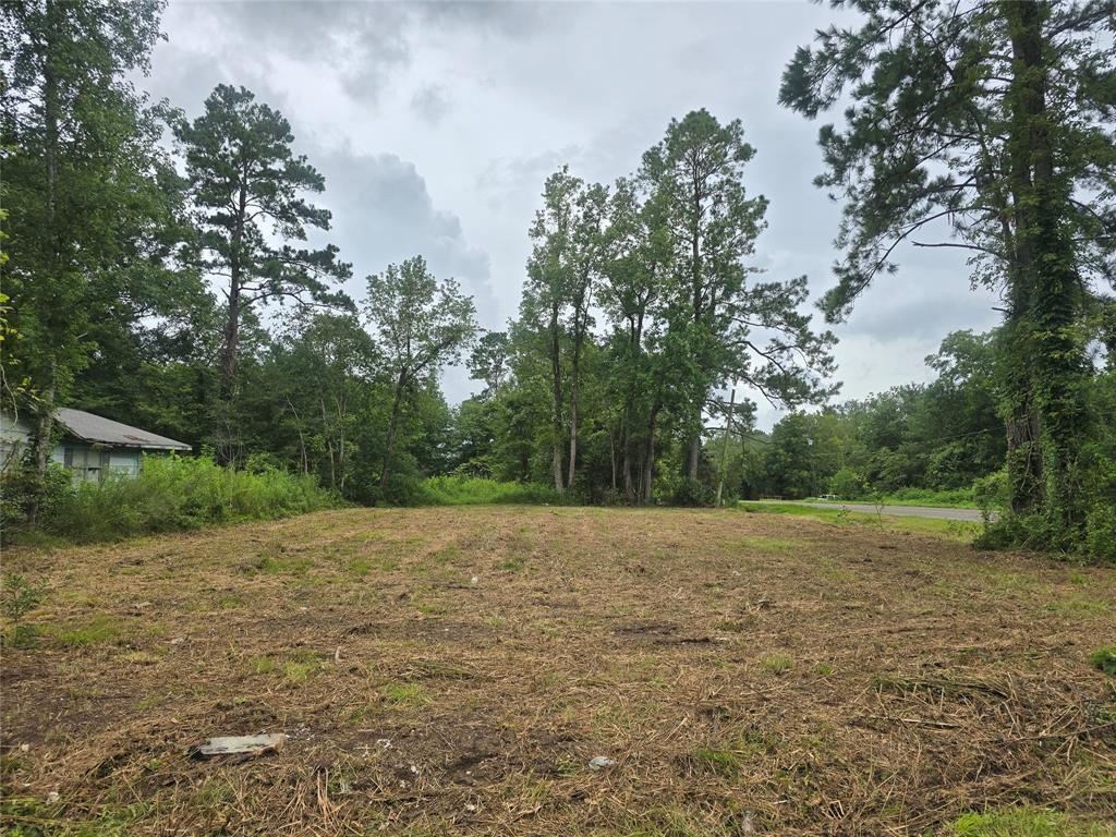 a view of a field with trees in the background