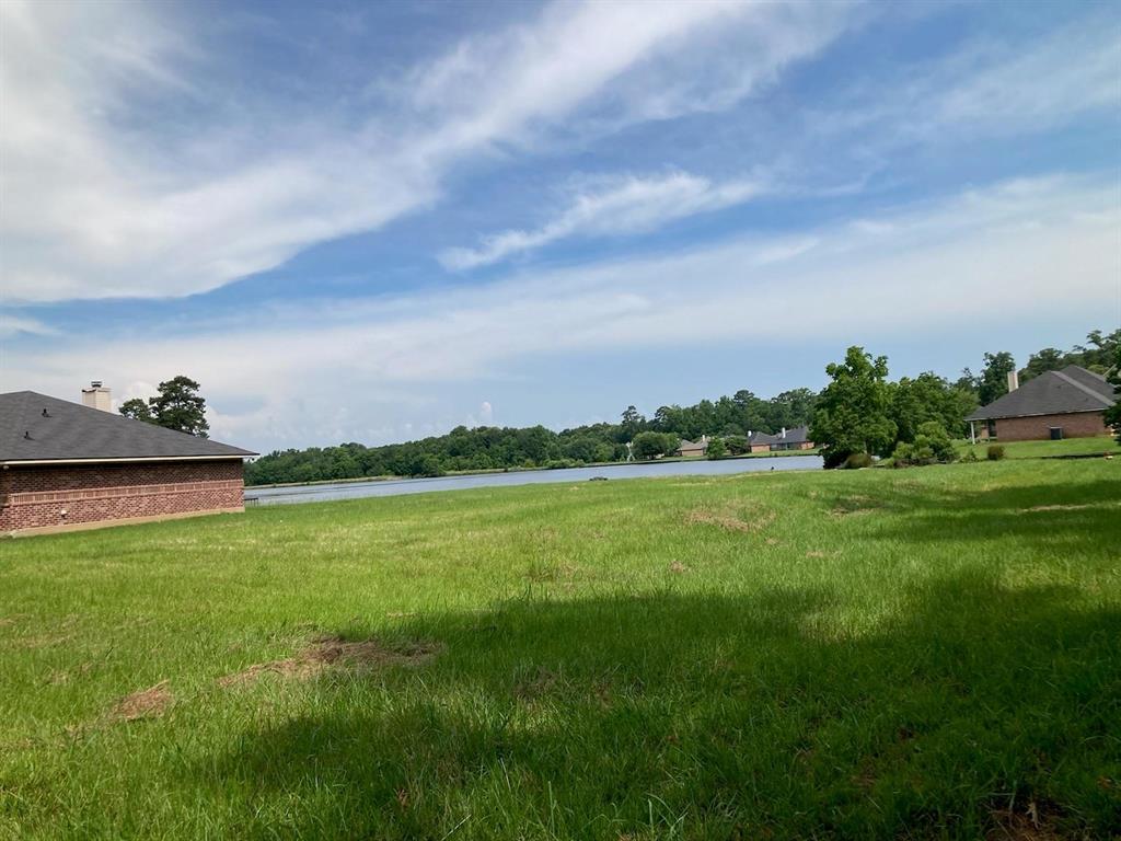 a view of a lush green outdoor space with a lake view