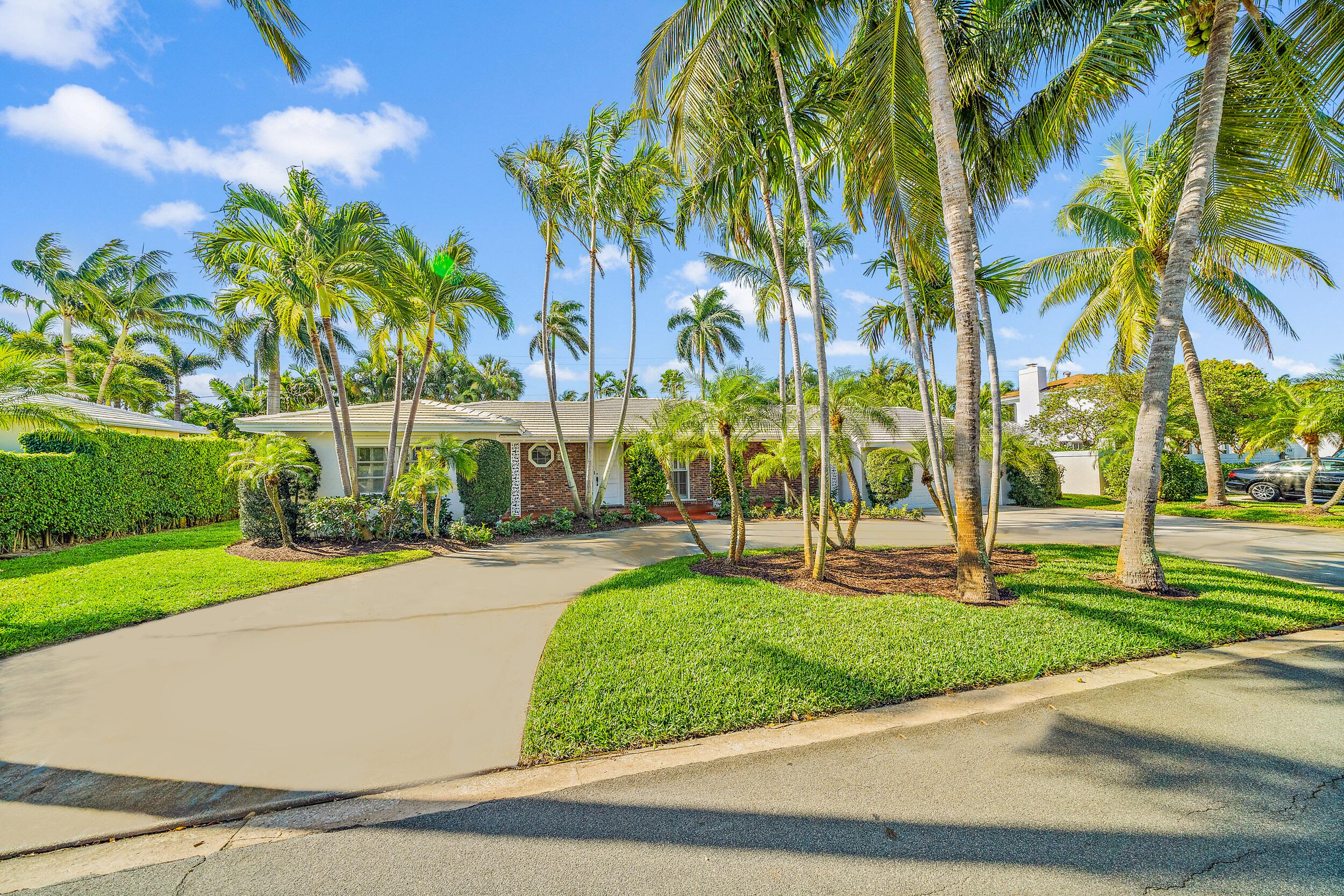 a view of a park with palm trees