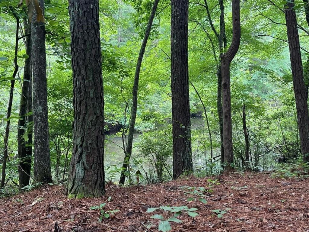 a view of outdoor space and green space