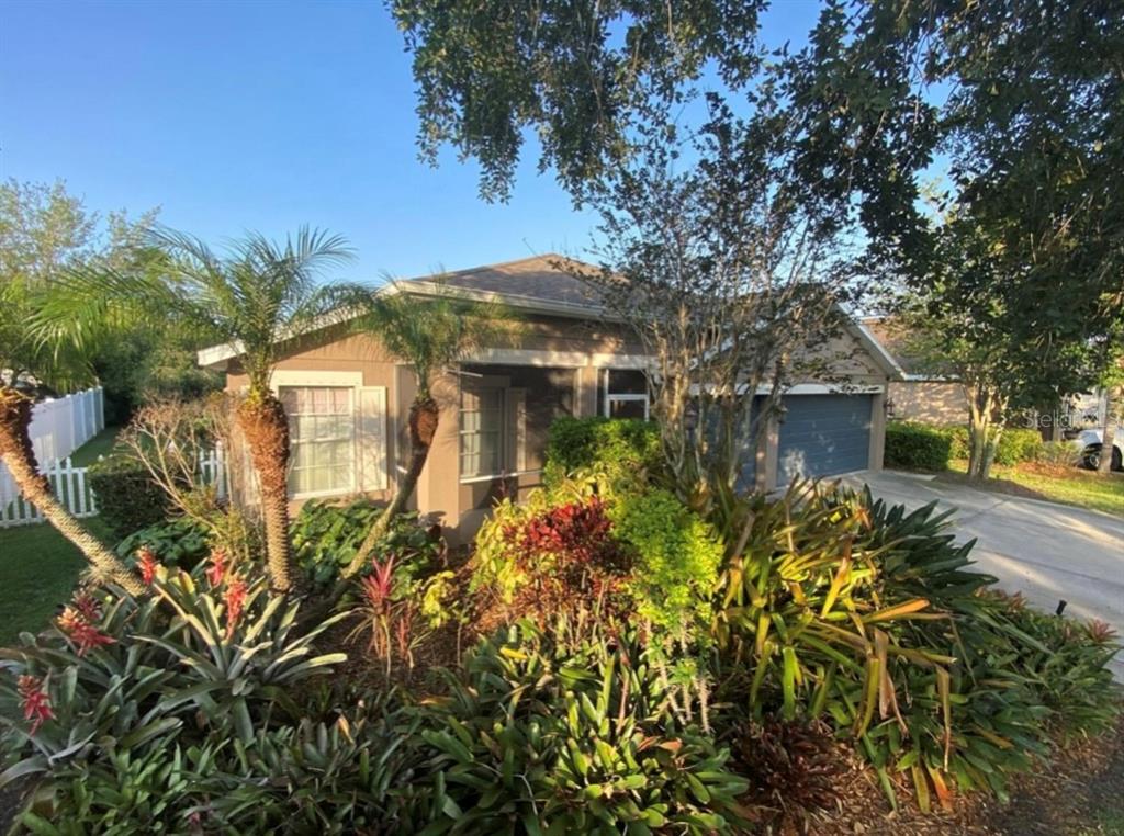 a view of a garden with plants