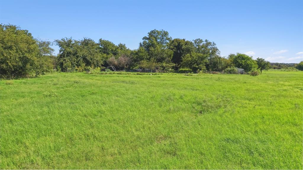 a view of a green field with trees