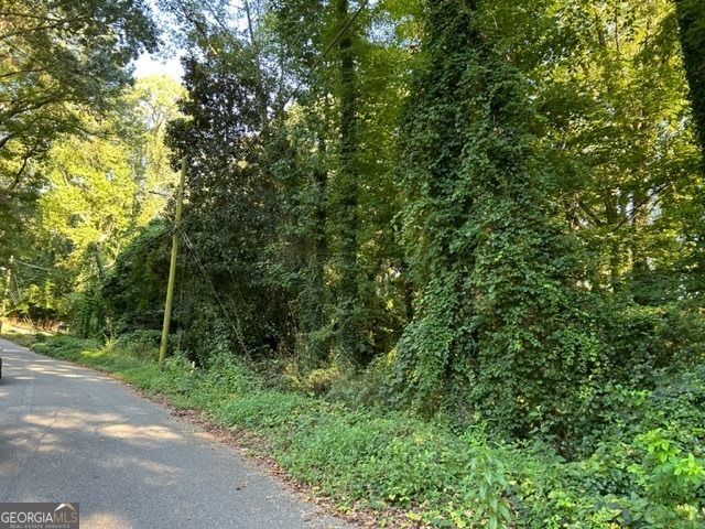 a view of a forest with a tree in the background