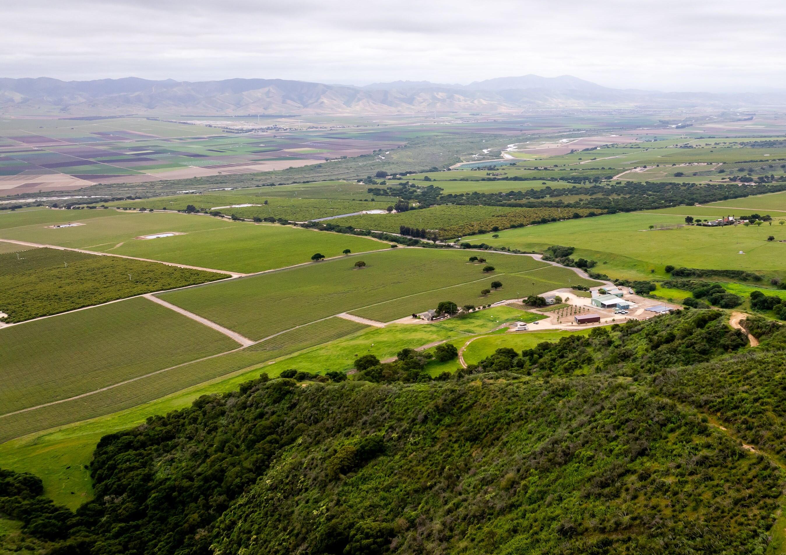 Boekenoogen Vineyard