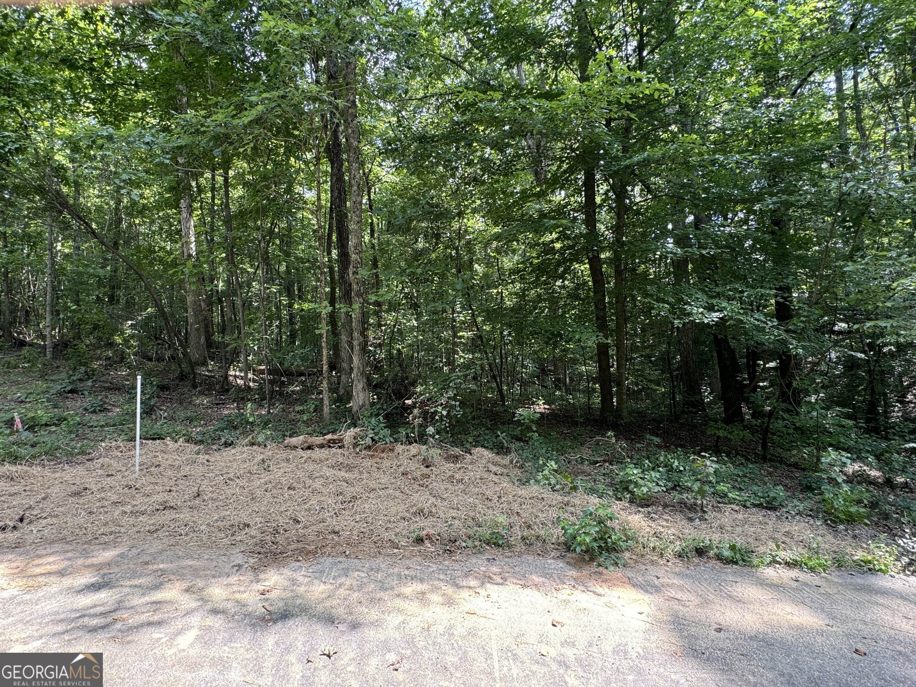 a view of outdoor space with trees