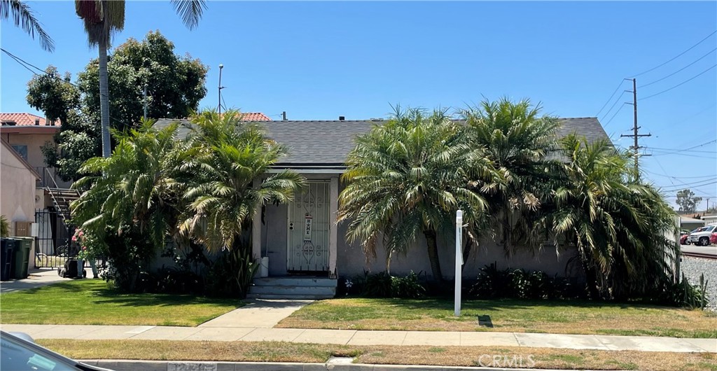 front view of house with a yard and palm trees