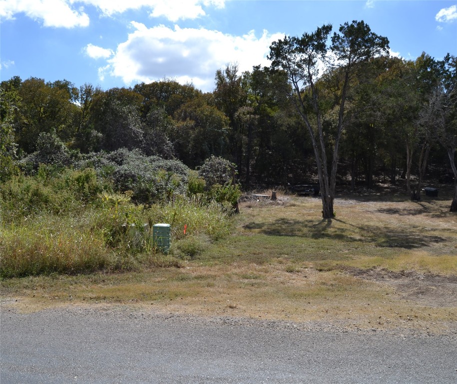 a view of a yard with a tree