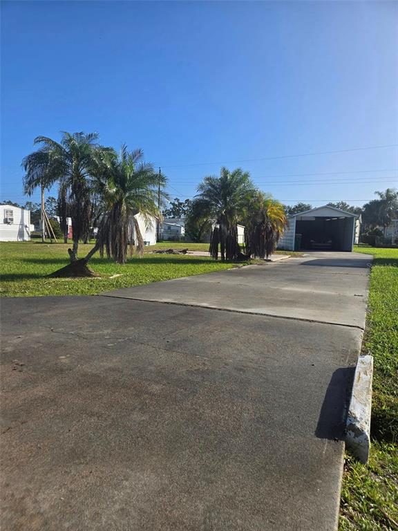 a palm tree sitting in front of a house with a big yard