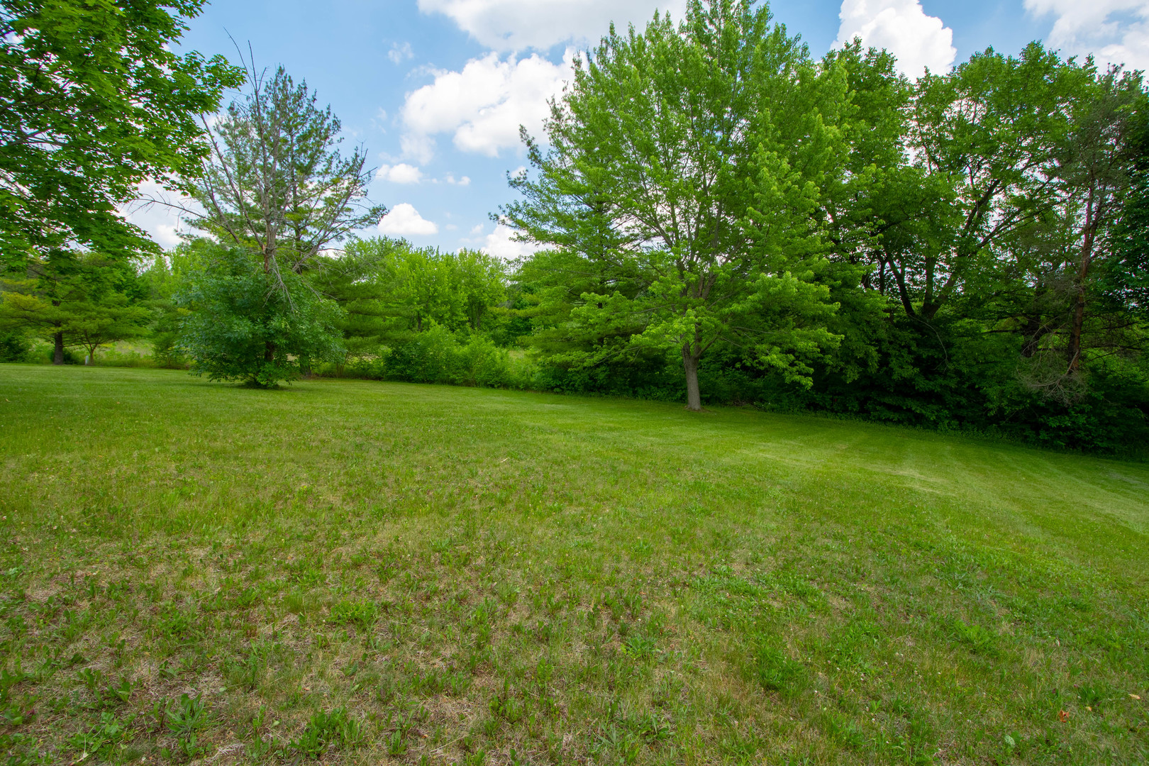 a view of a green yard