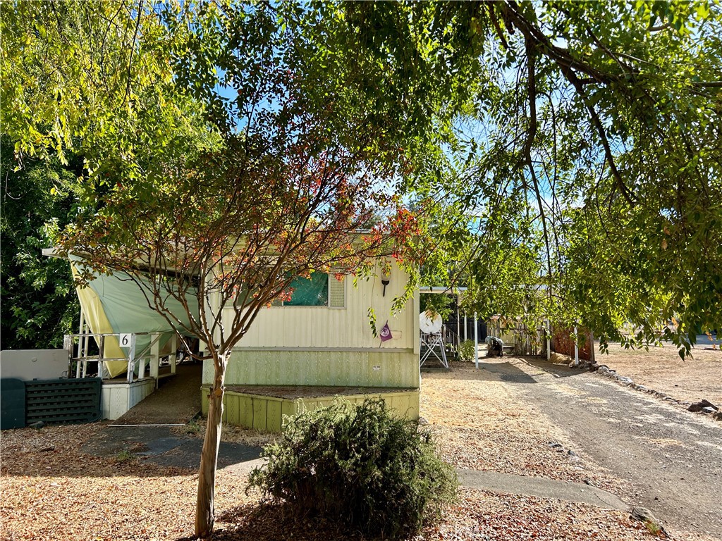 a view of a yard with plants and trees