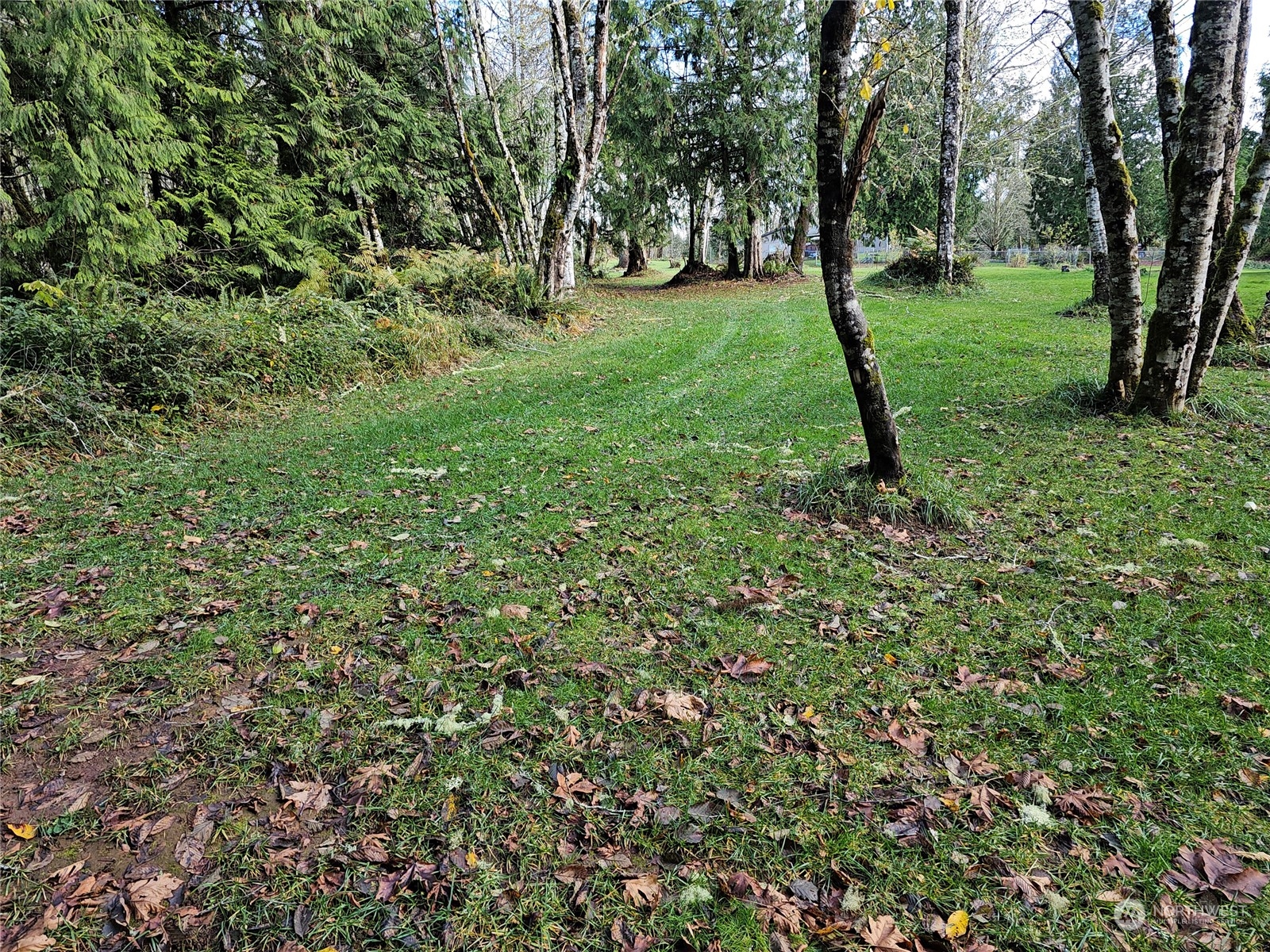 a view of a green field with lots of bushes