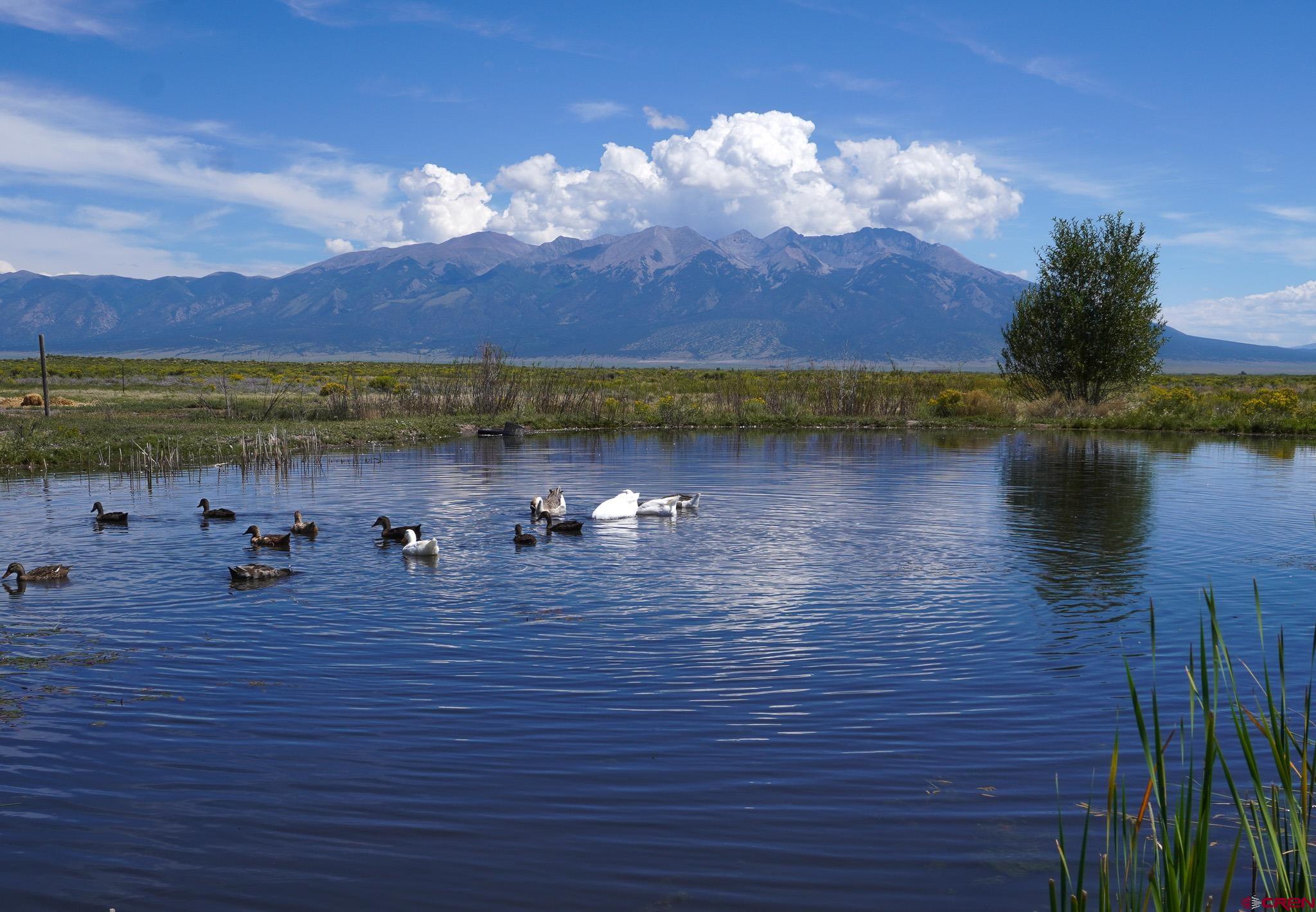 a view of a lake view