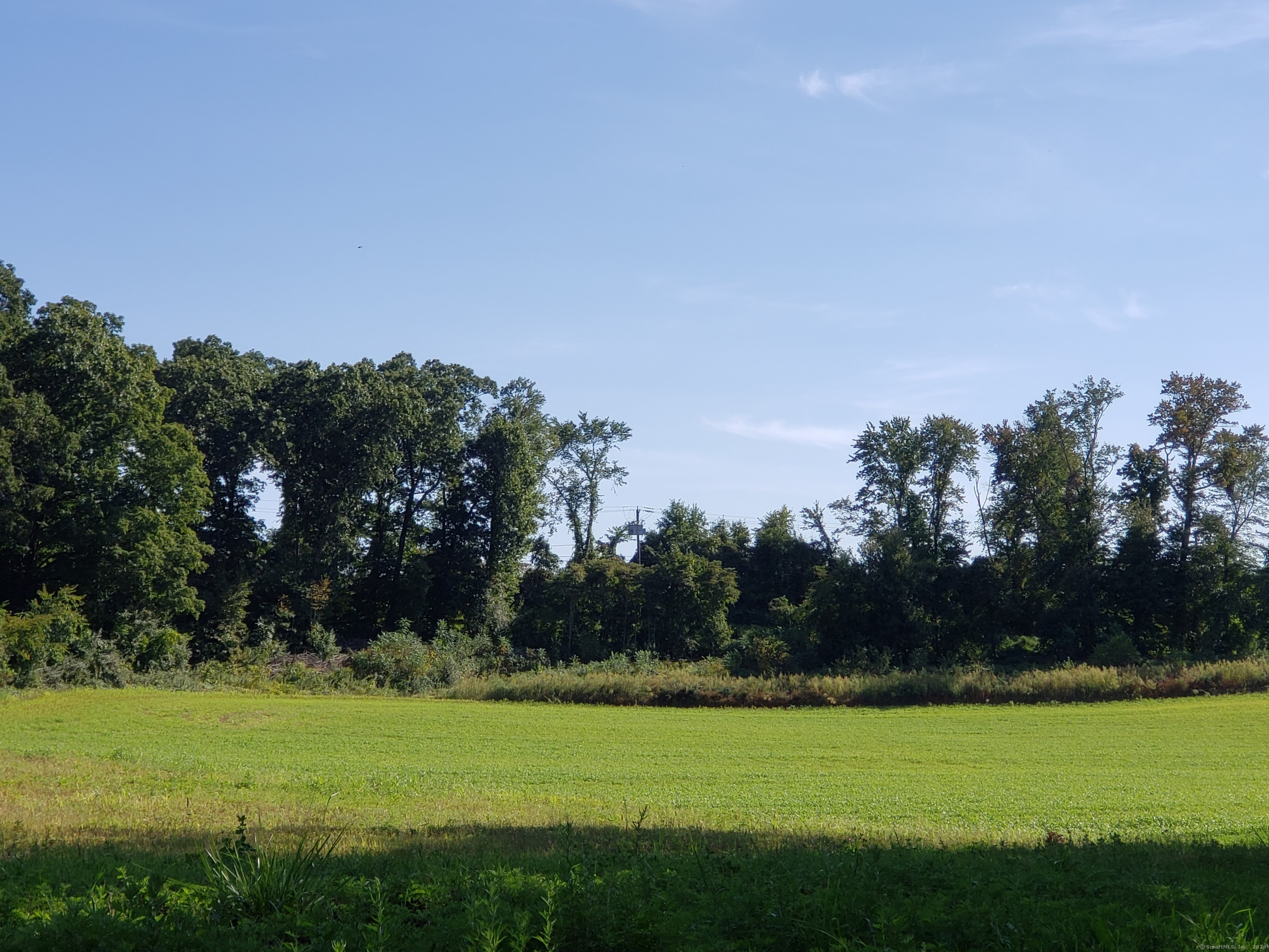 a view of a grassy field with trees