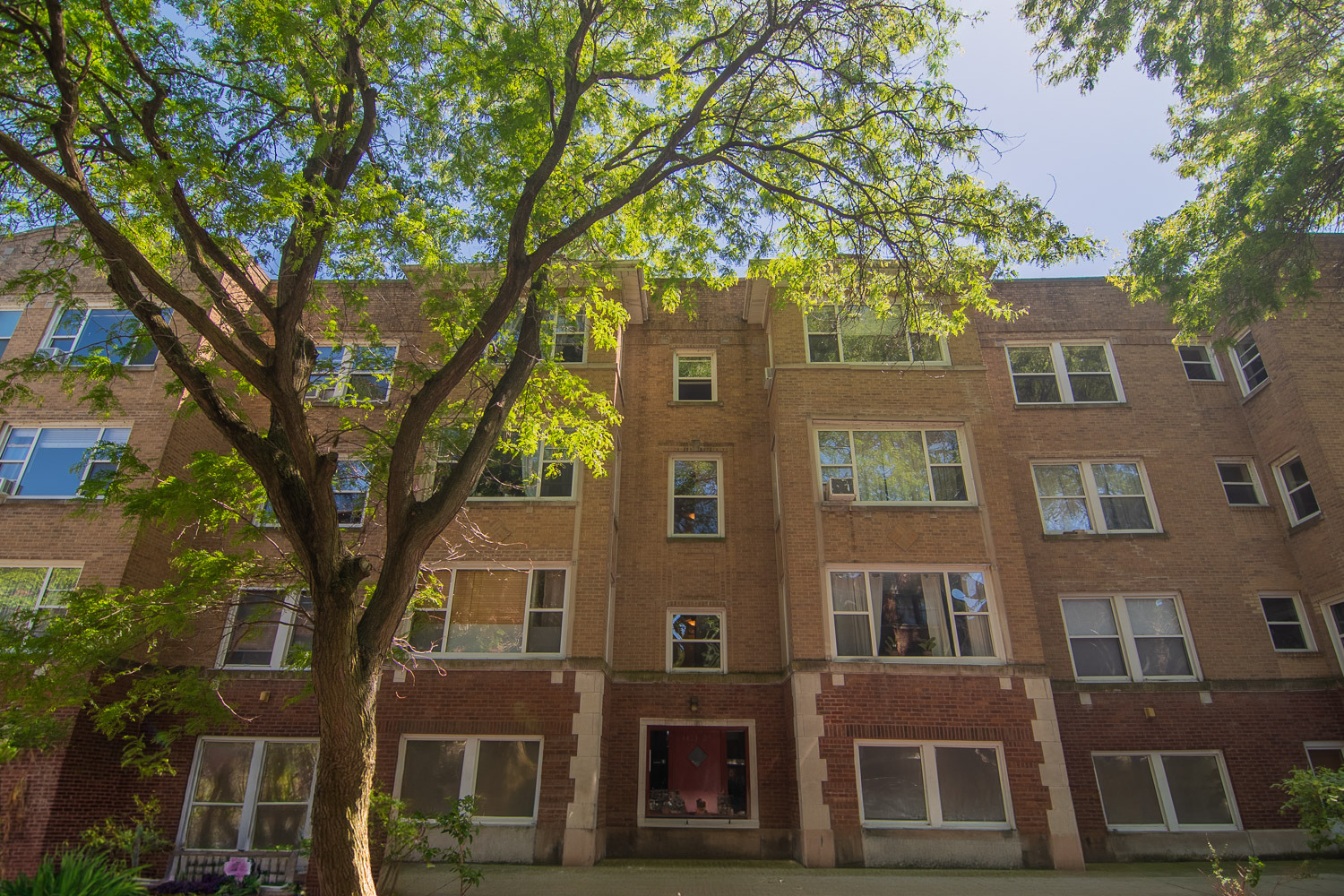 a large building with a tree in front of it