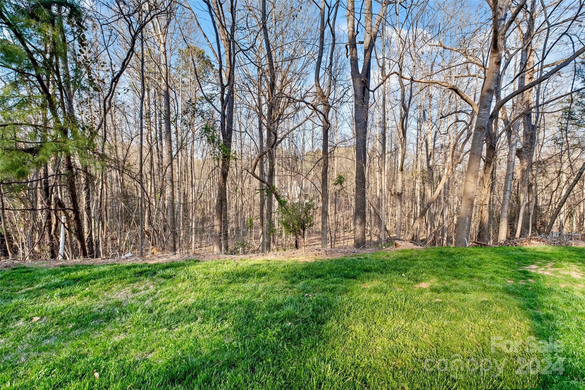 a backyard of apartments with large trees