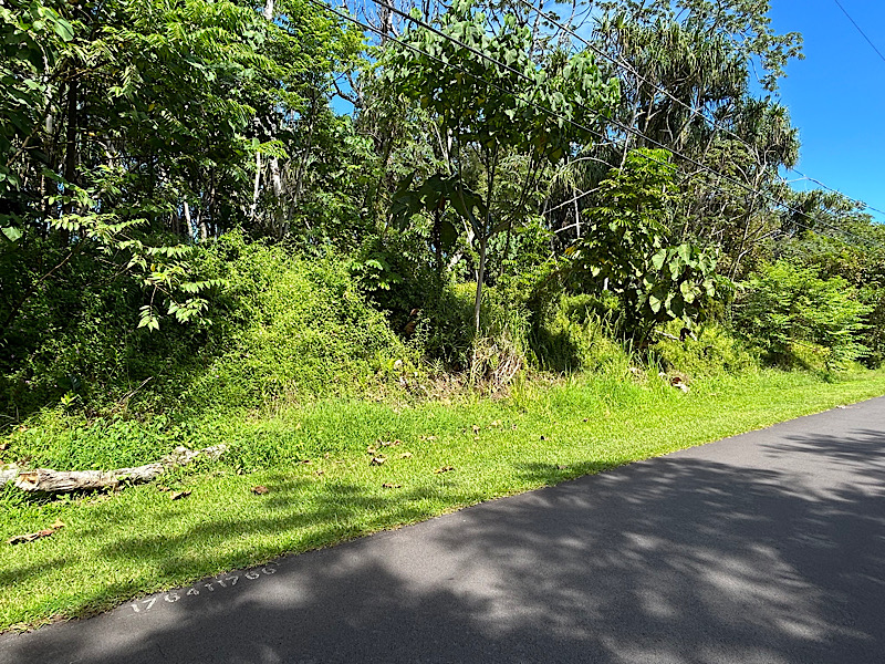 a view of a yard with a tree