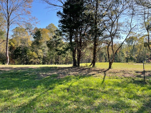 a view of a yard with trees