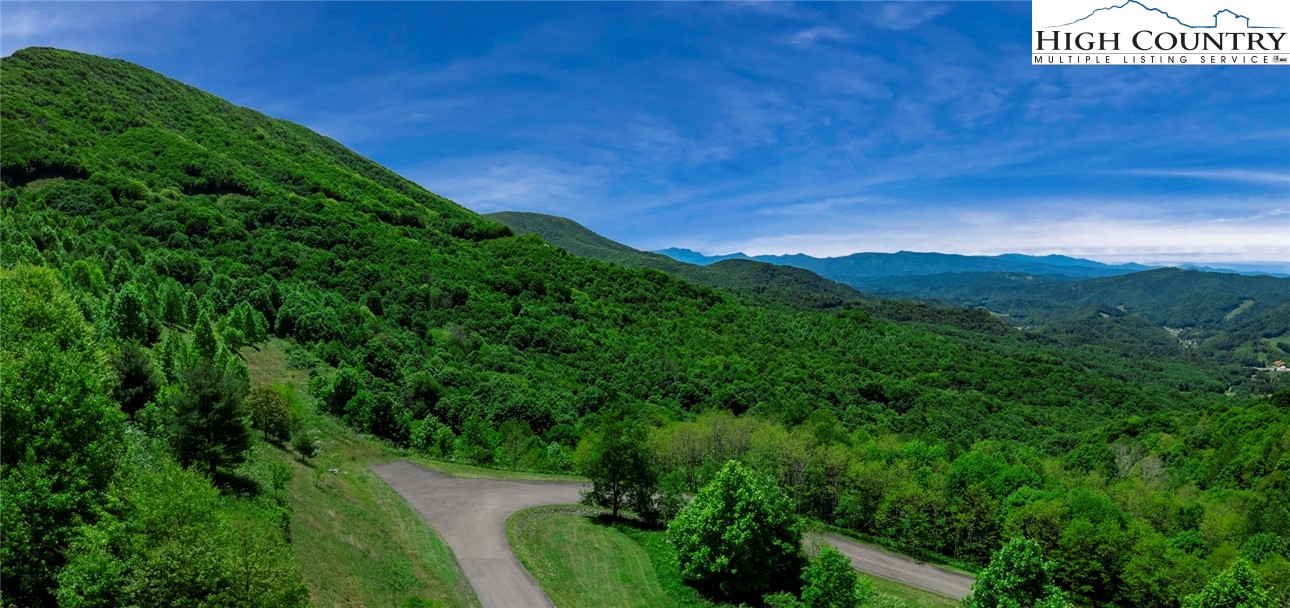 a view of a lush green space