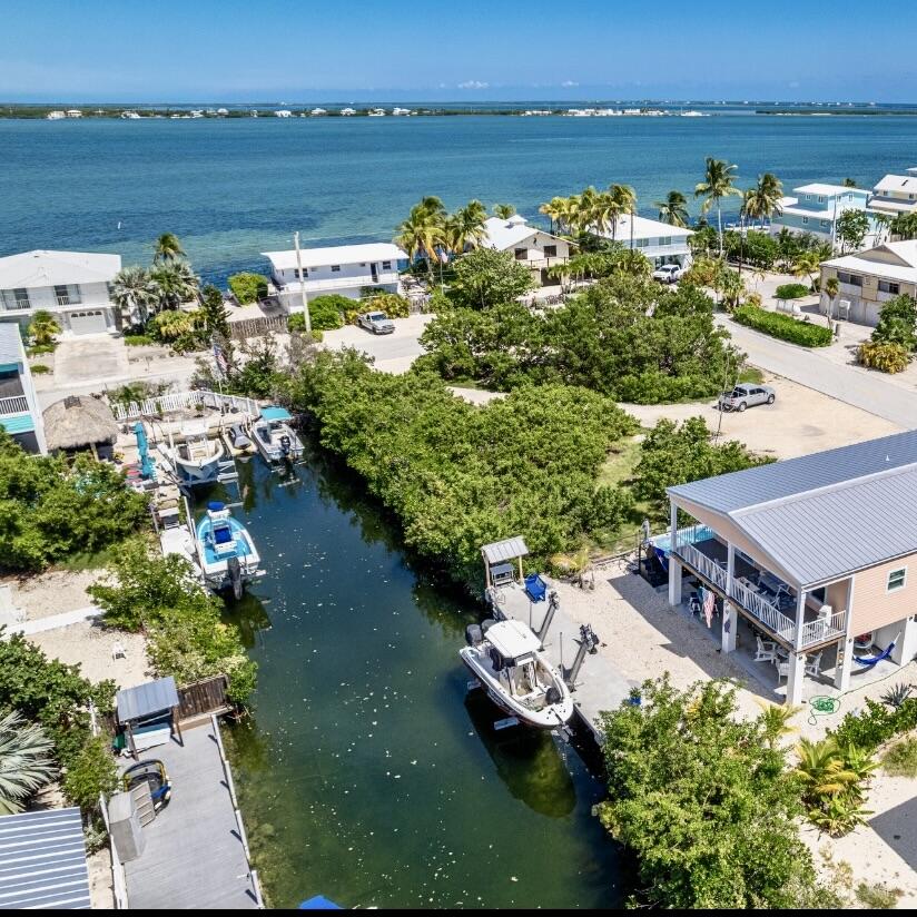 Aerial view of the house