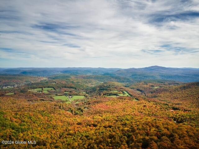 Mountain Views