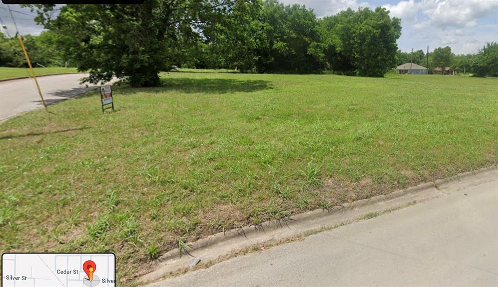 a view of a field with a trees in the background