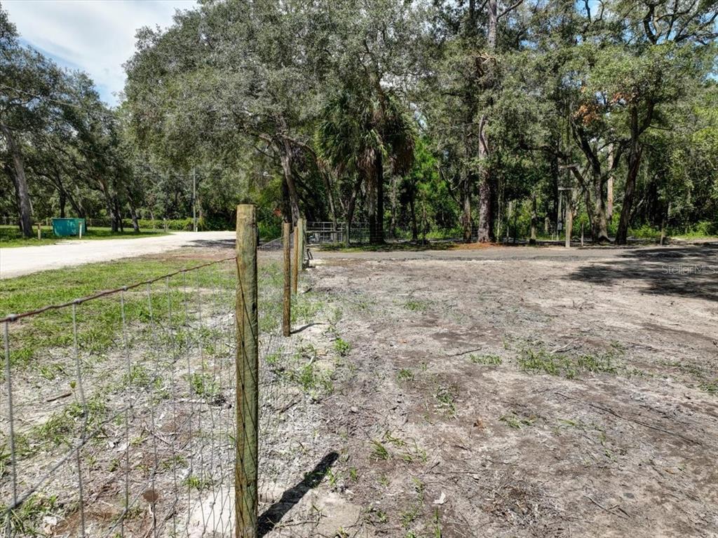 a view of a yard with trees