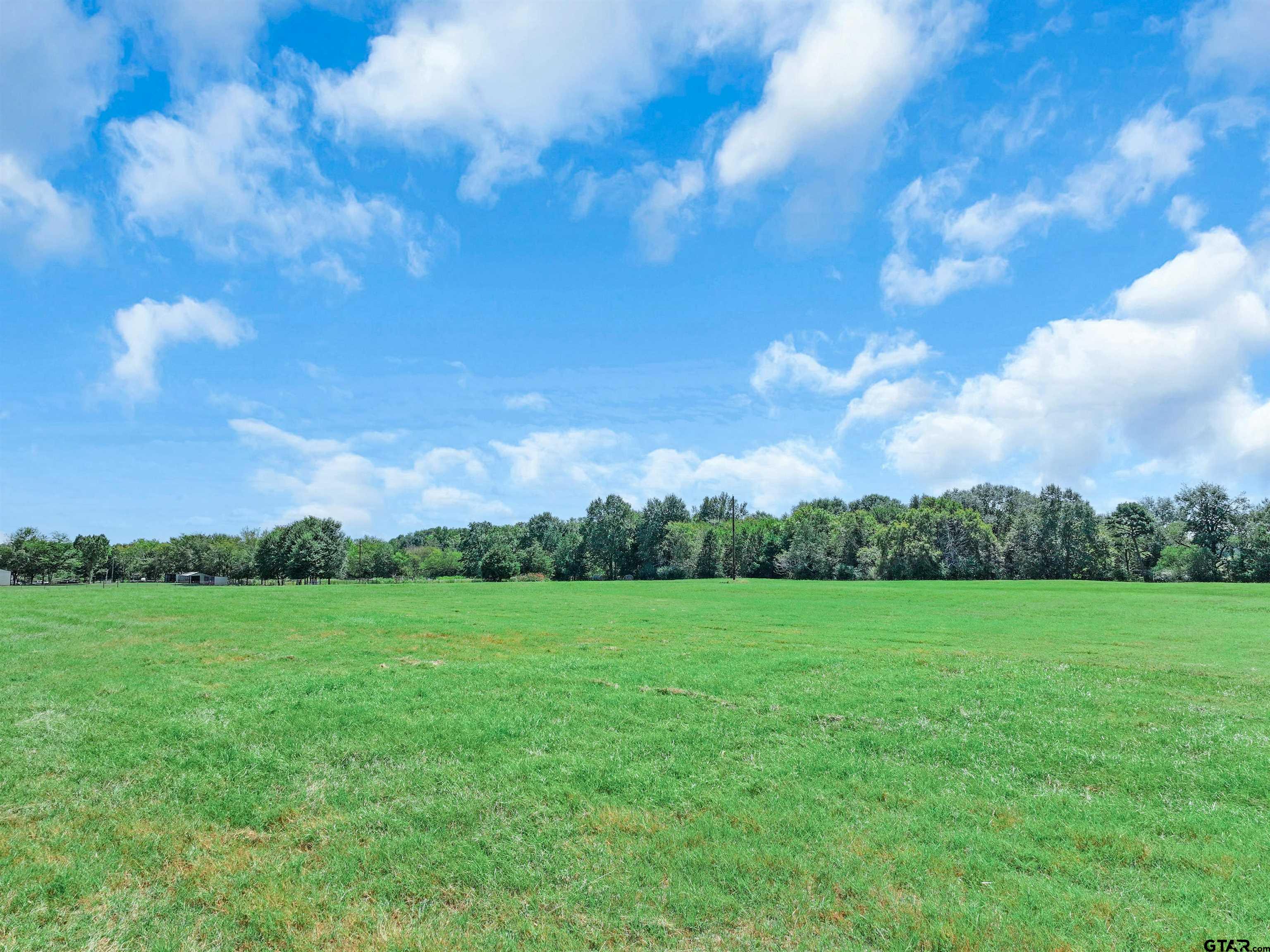 a view of grassy field with trees