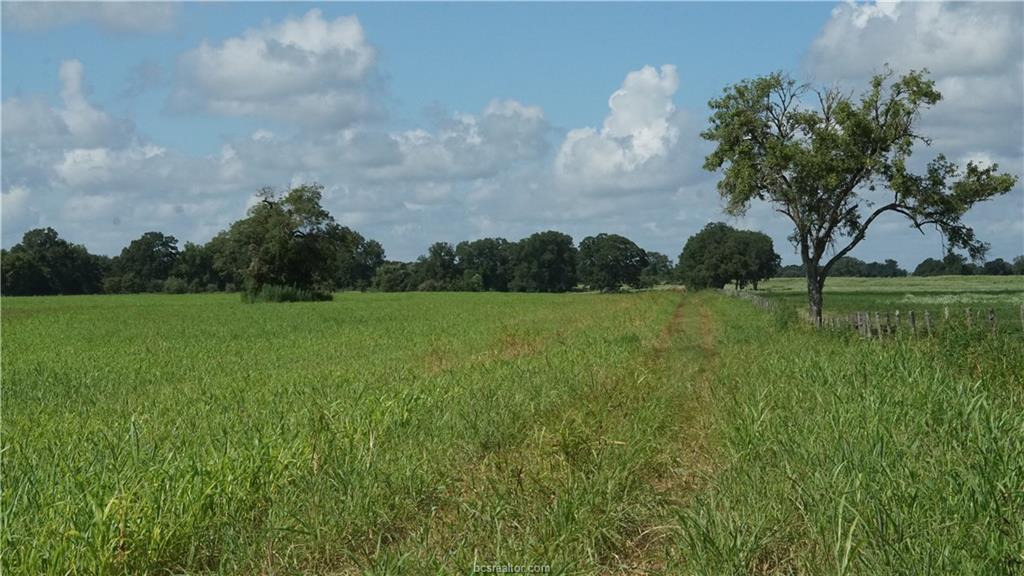 View of nature with a rural view