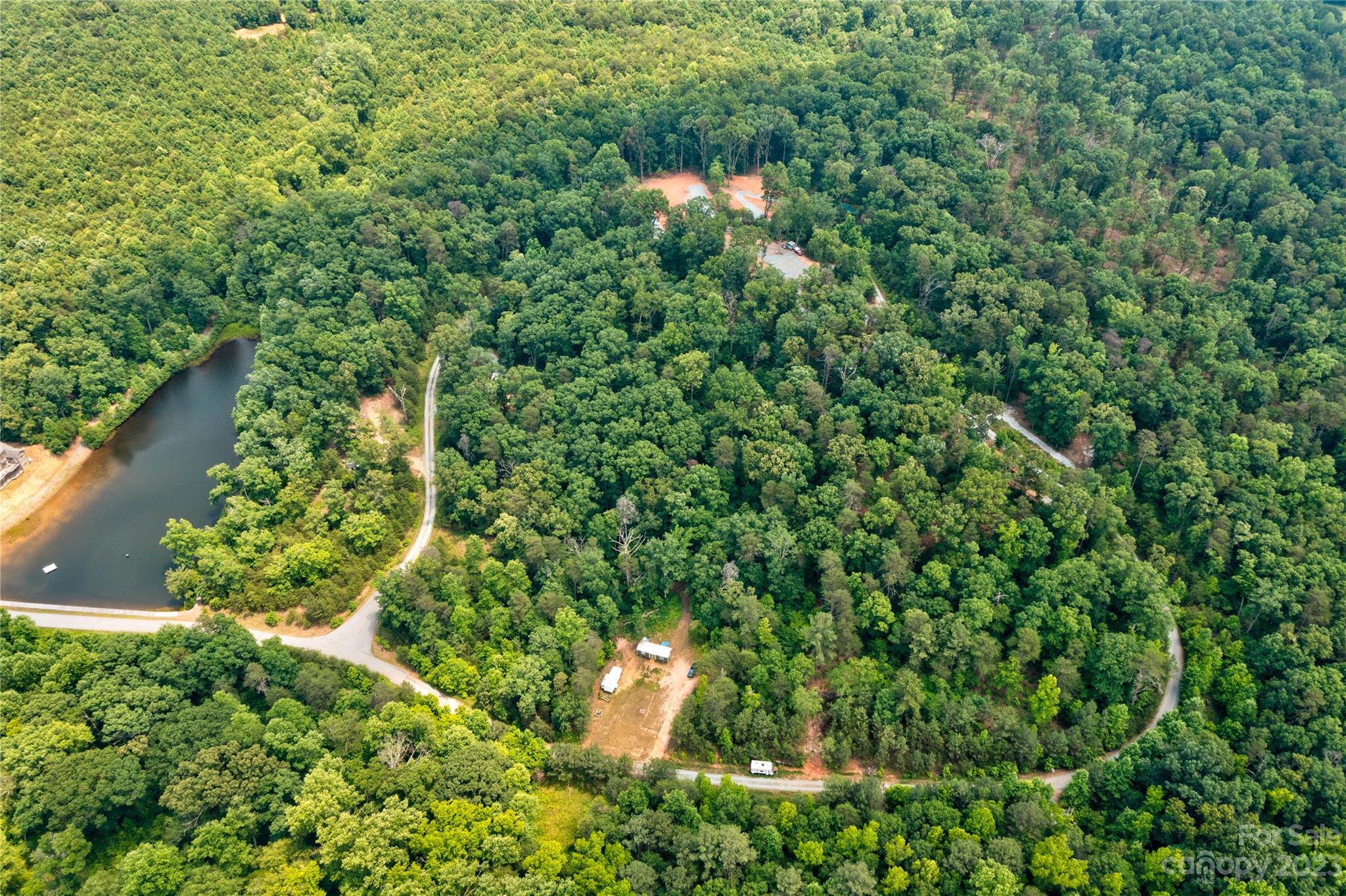 a view of a lush green forest with lots of trees