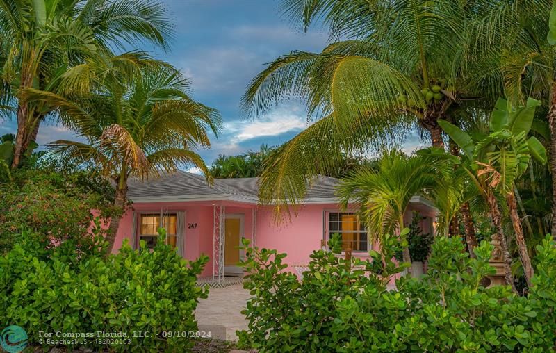 a view of a house with a palm plant