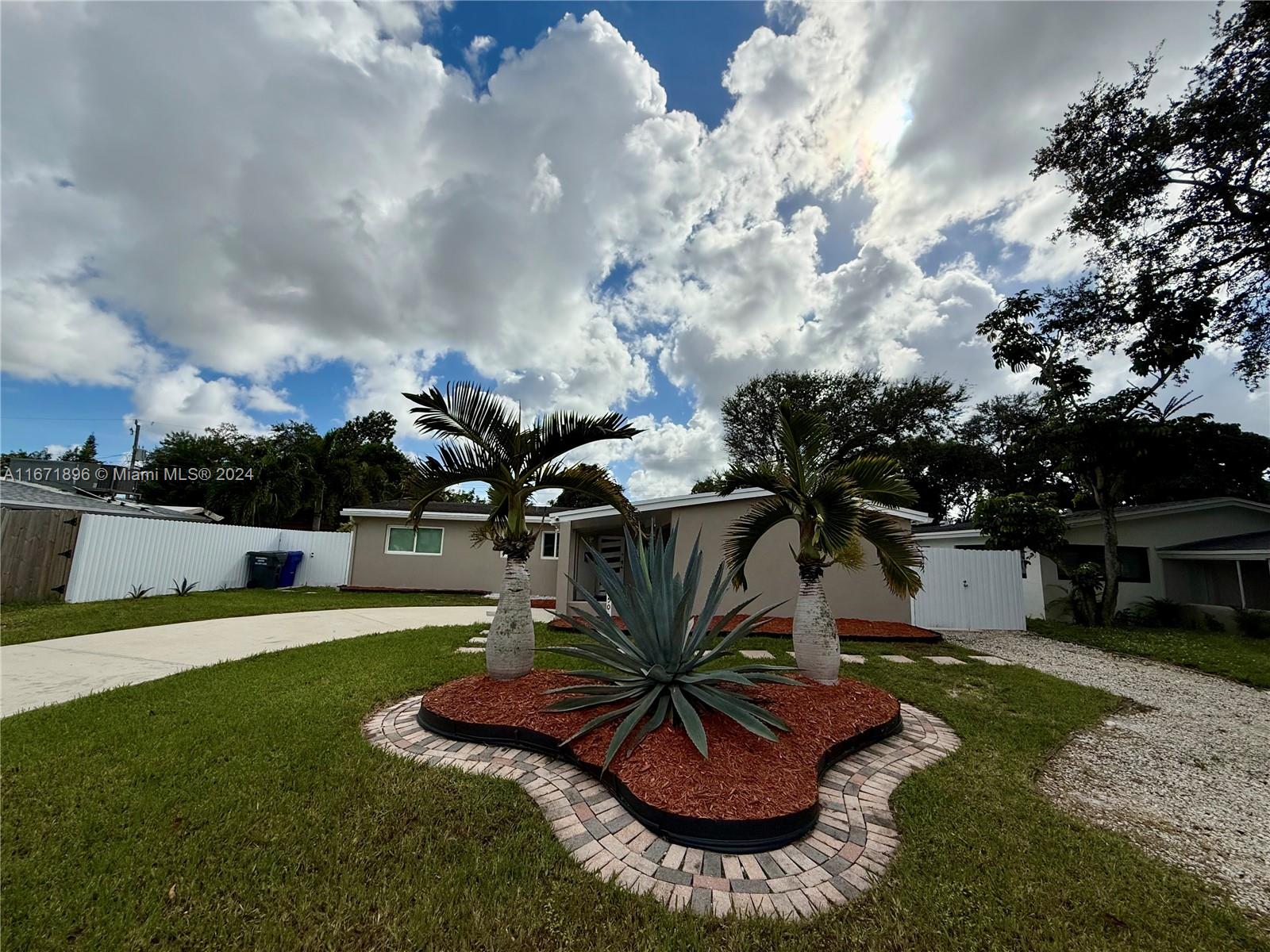 a view of a backyard with plants