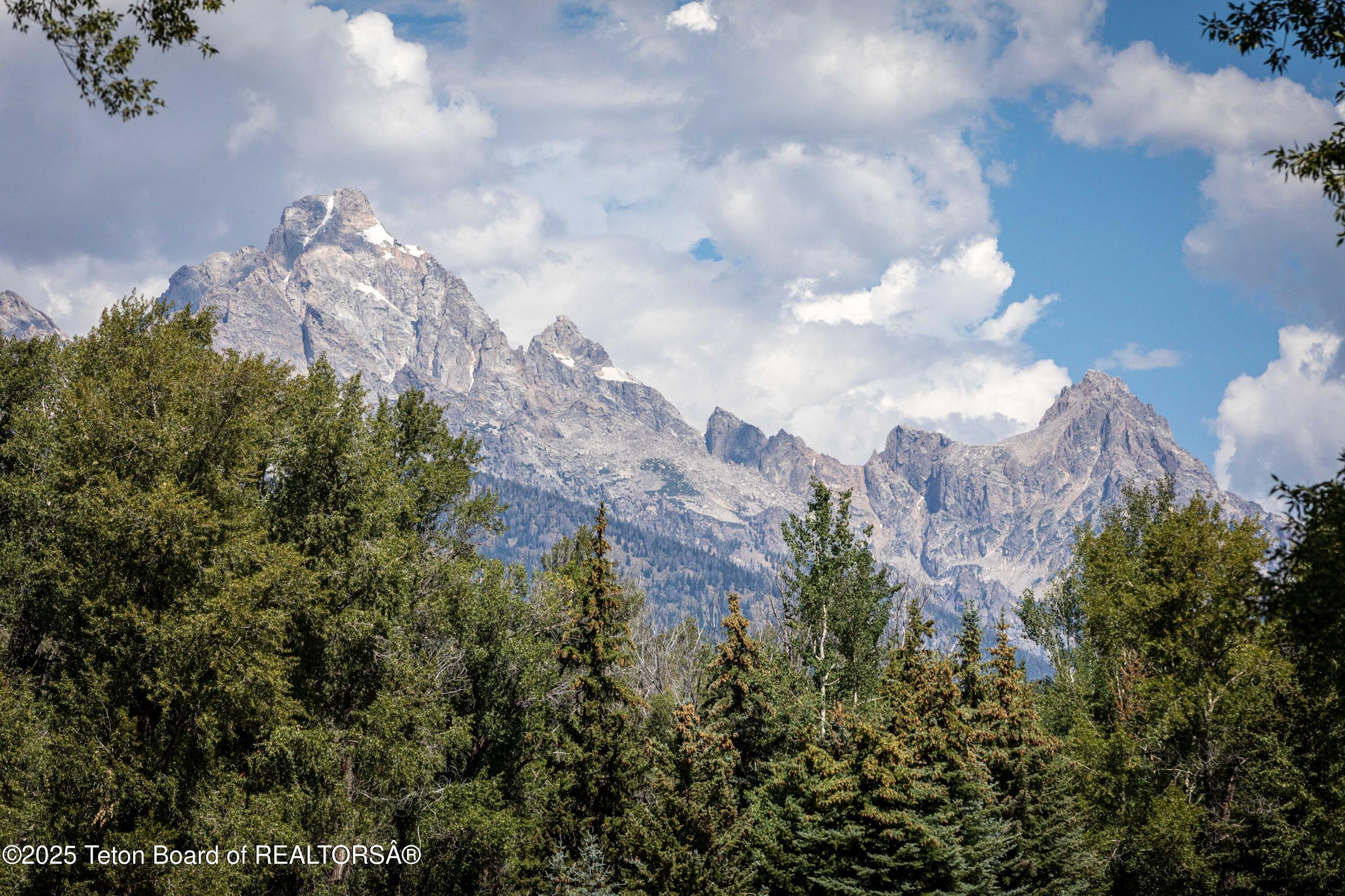 Teton views