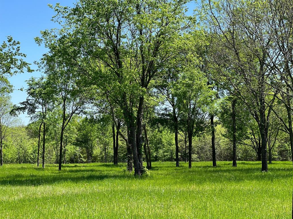 a view of a park with trees in the background