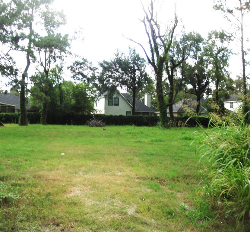 a view of yard with green space