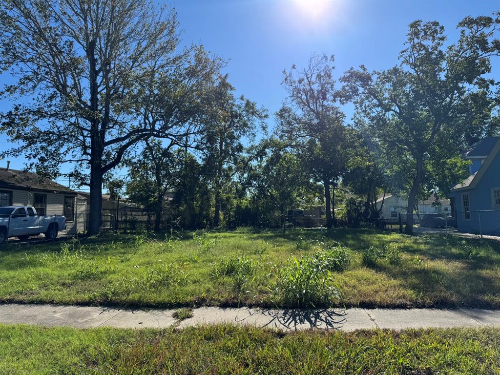 a view of a backyard with large trees