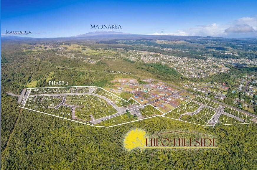 Hilo Hillside Estates - Phase 2 & 3!