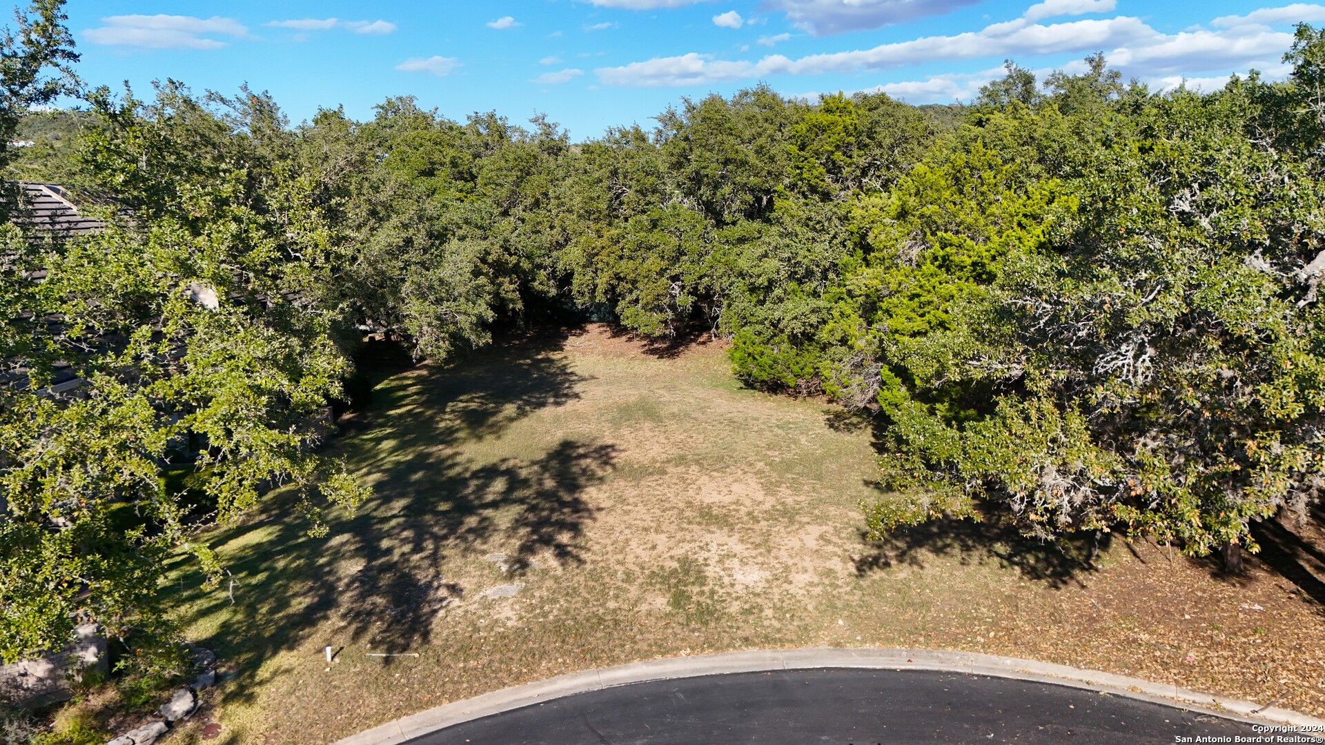 a view of a yard with a tree