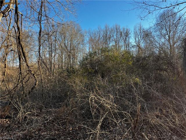 $30,000 | 0 Light Road | Conrad Hill Township - Davidson County