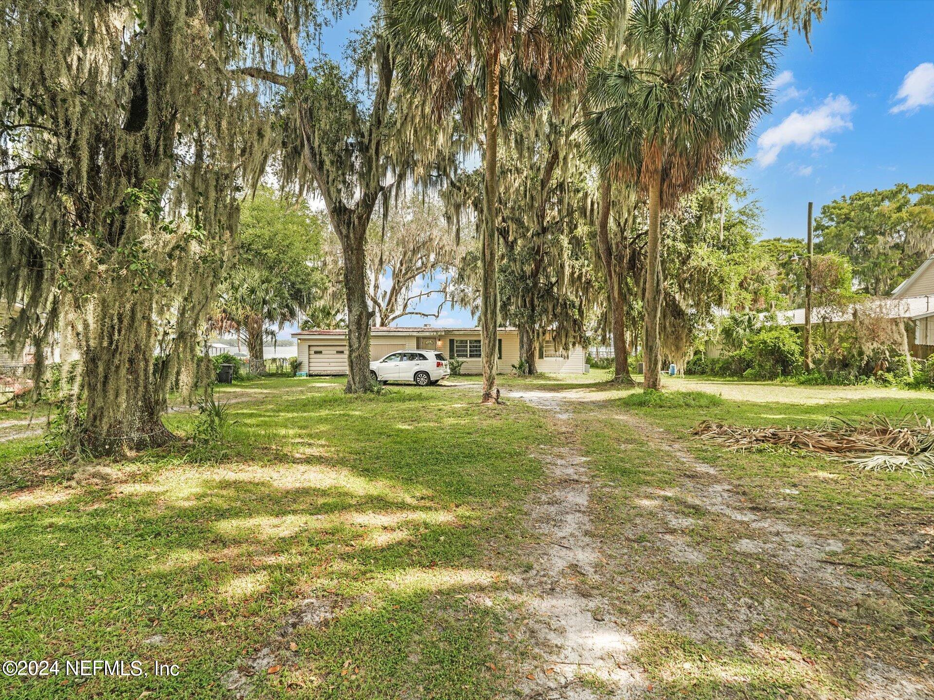 a view of yard with trees