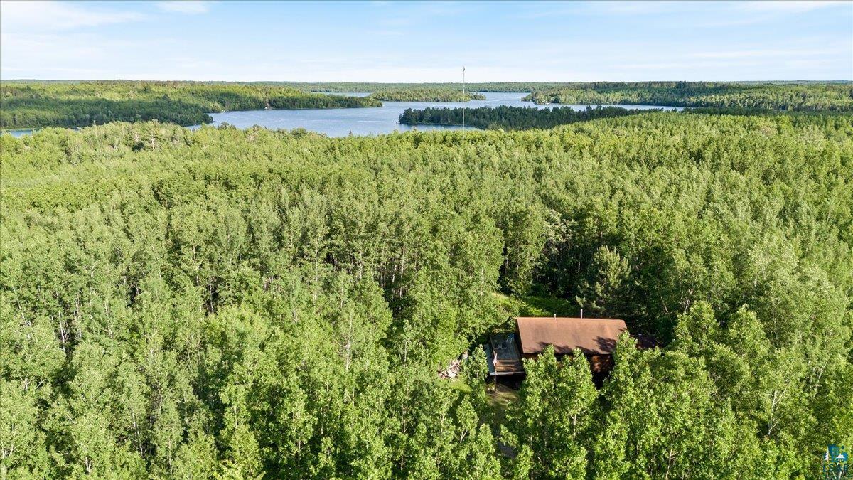 Aerial view of property surrounded by a lush forest and close to Lake Vermilion