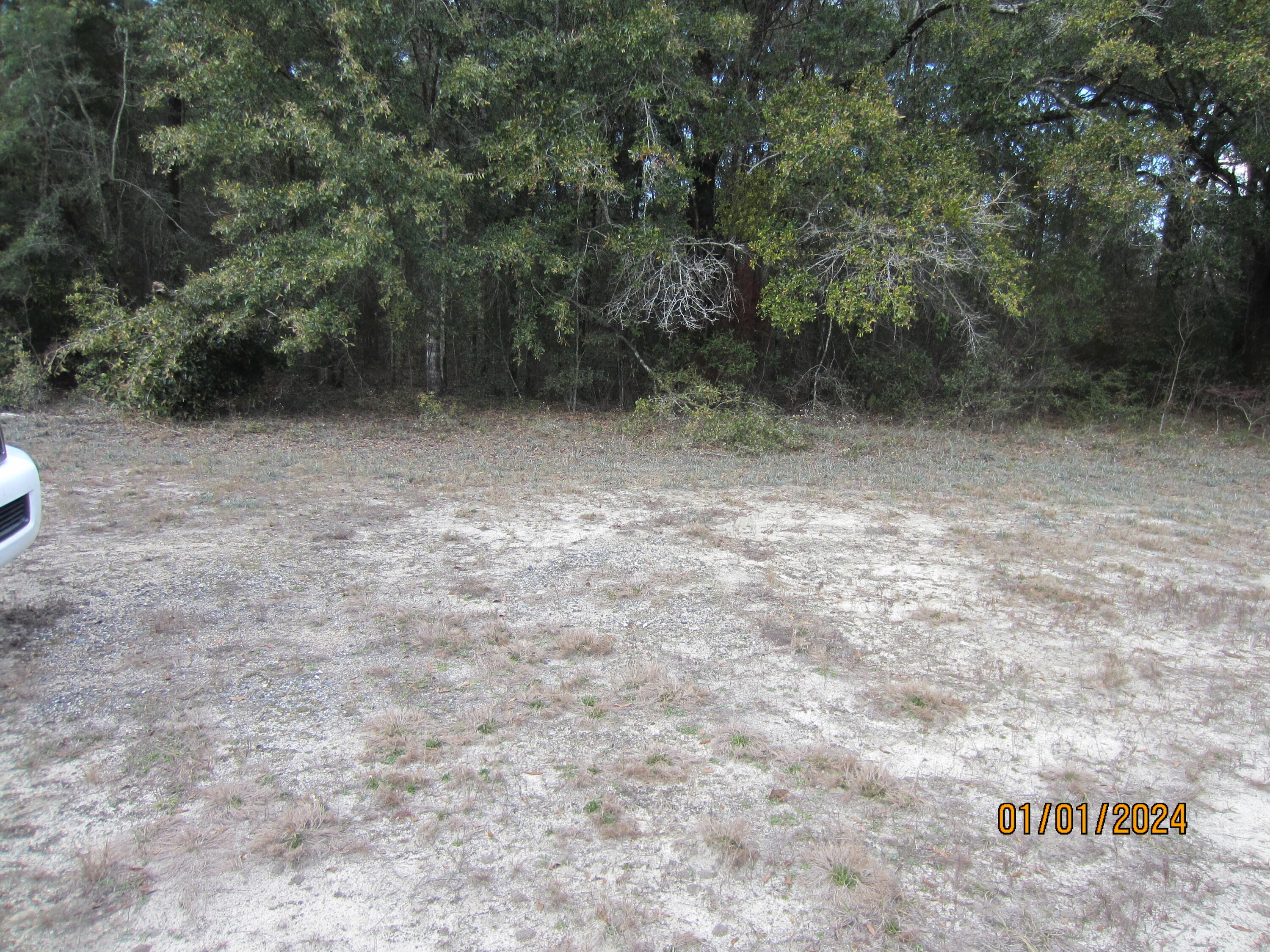 a view of a dry yard with trees