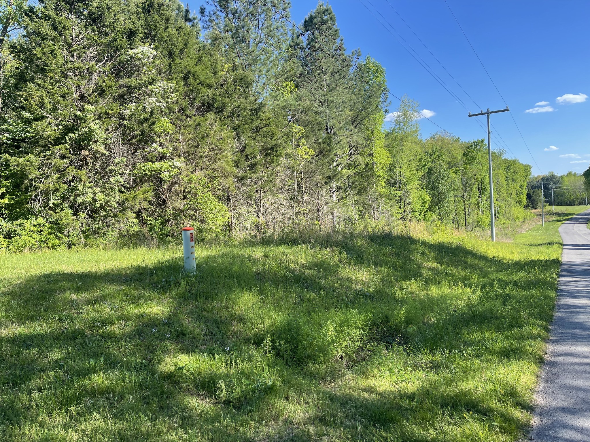 a view of a green field with lots of bushes