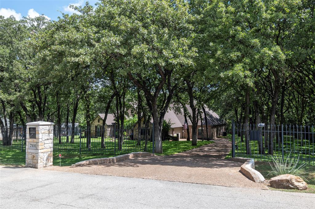 a view of a park with plants and trees