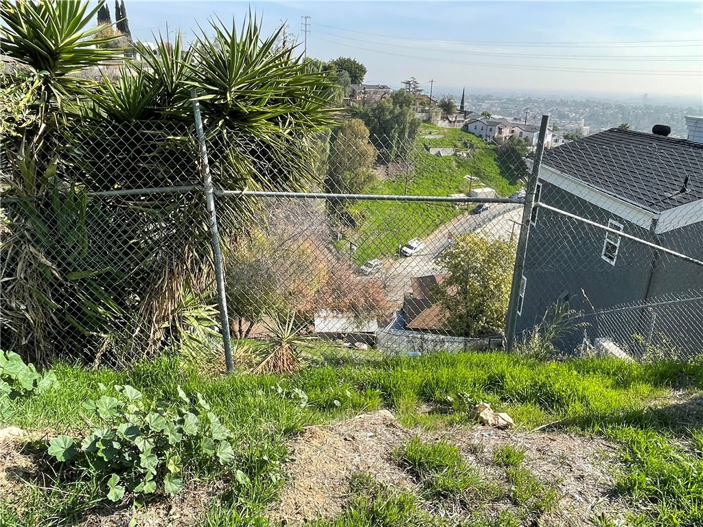 a view of a backyard