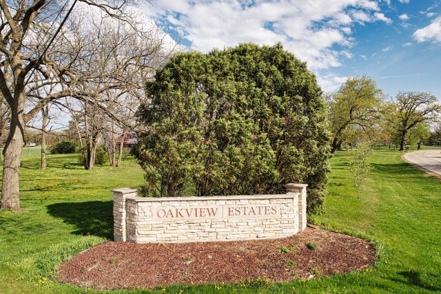 a view of a field with large trees