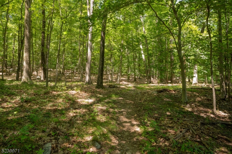 a view of outdoor space with green field and trees