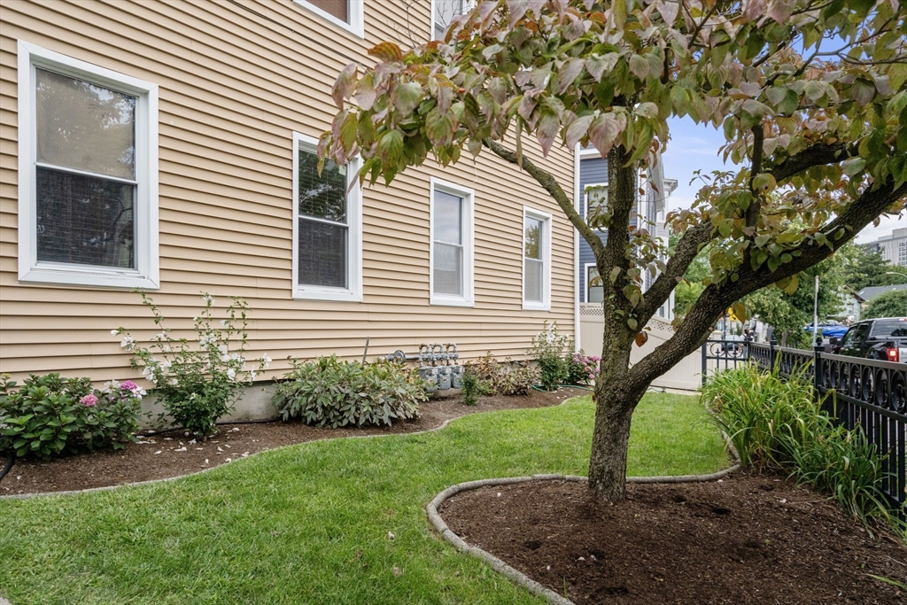 a view of a house with a yard and tree s