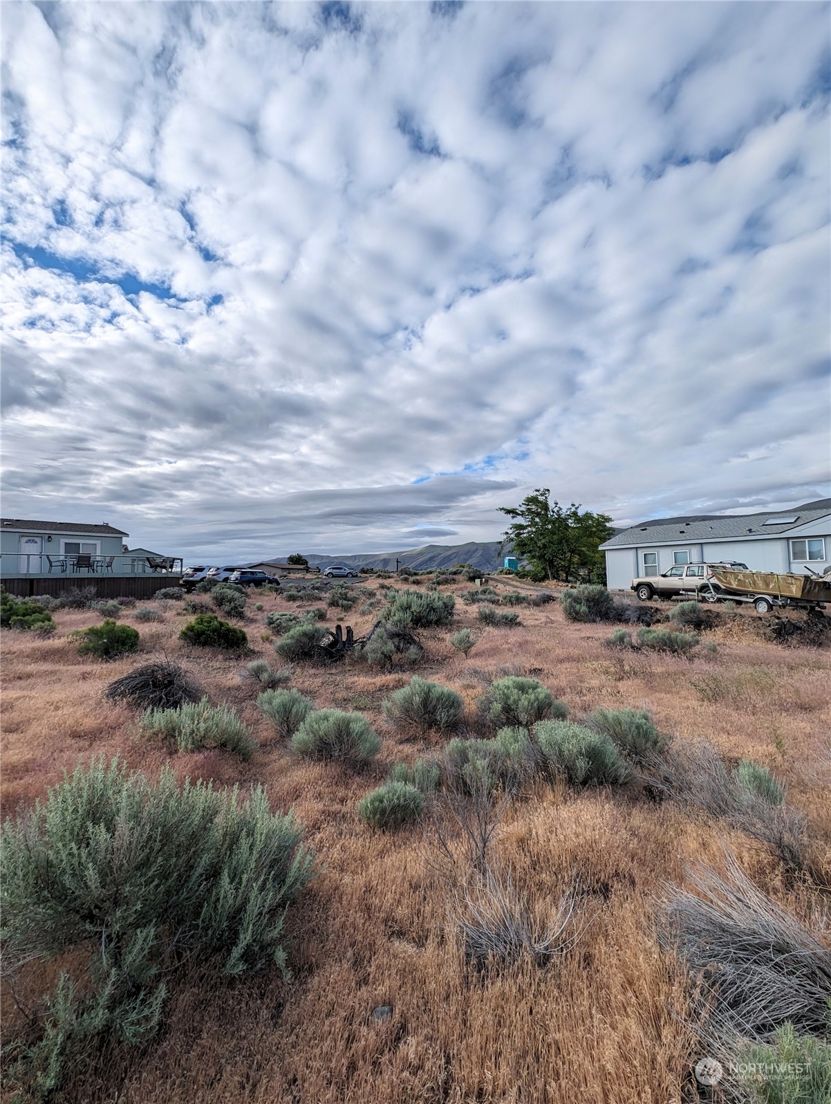 a view of a dry yard with trees