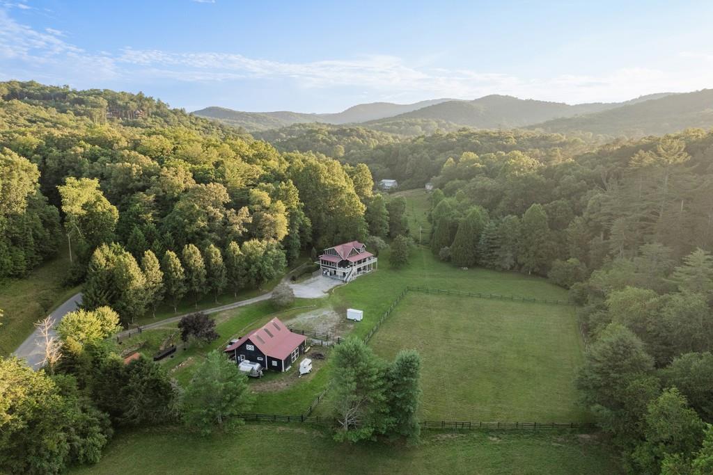 a view of a lush green forest with mountains in the background