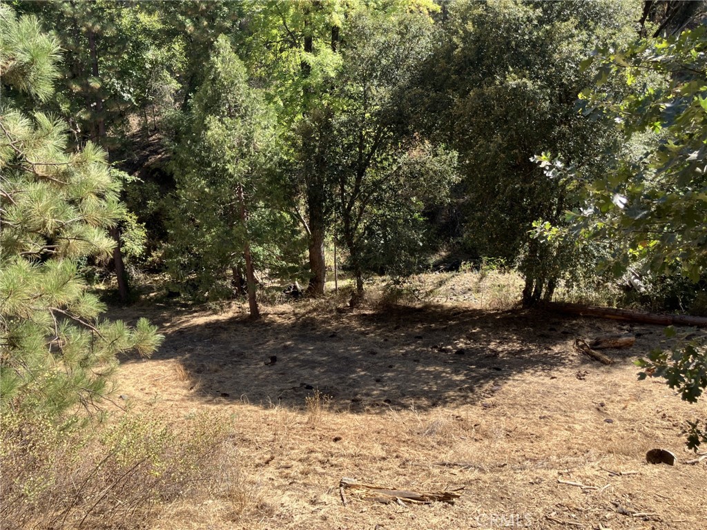 a view of a yard with a tree